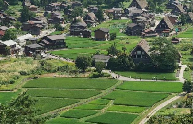 祖坟风水影响有多大？读懂这个不求人