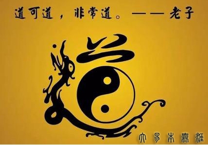 家中财位放什么最招财？