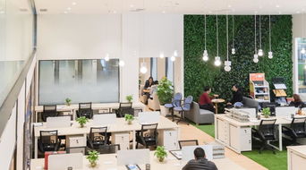 公司如何布局才能聚气旺财？