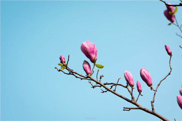 有关读书的歇后语－井底下看书——学问不浅