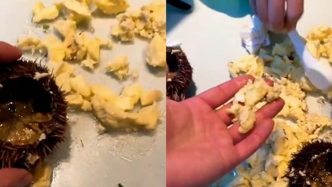 游客三亚吃海胆蒸蛋没海胆被威胁：不要闹事，不然走不掉