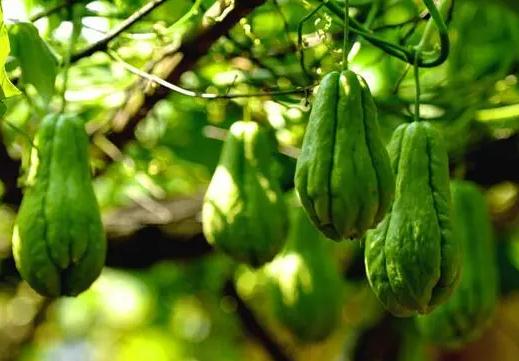 女人吃什么可以减龄？每天坚持吃3种食物，排毒养颜延缓衰老