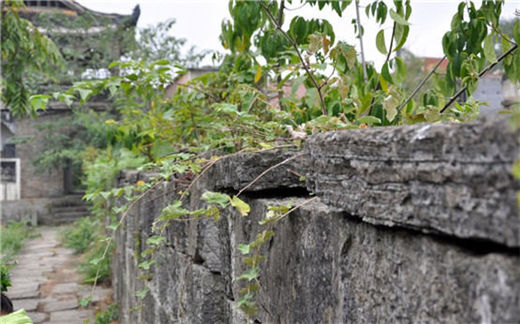 国学经典唐诗三百首【题兴化寺园亭】原文及解析