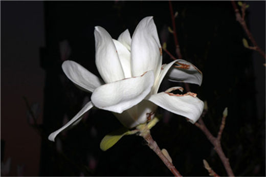 李嘉诚名言大全,注重自己的名声，对事业非常有帮助