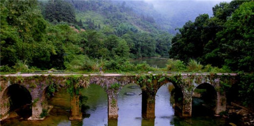 独木不成林，要没有同伴的帮助和全队努力，光我是不行的－足球名人名言