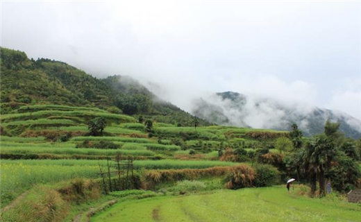 关于足球的名言名句，一名成熟的足球运动员，要经得住各种考验