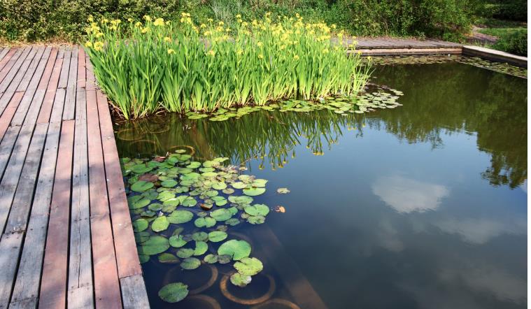 适合小学一年级的课外谚语，秦岭山脉一条线，南吃大米北吃面