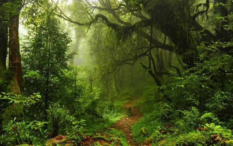 民谚里的二月谚语,二月二，照房梁，蝎子蜈蚣无处藏