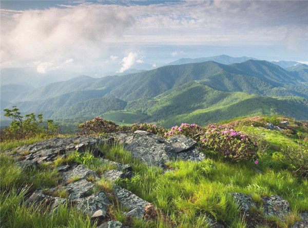 关于四川的谚语经典， 四川的俗语和谚语