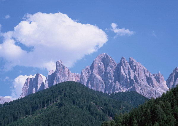 国学经典唐诗三百首【池上逐凉二首】原文及解析