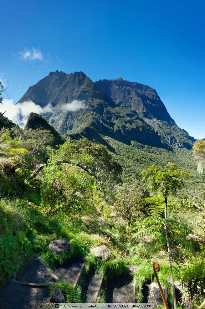 国学经典唐诗三百首【以诗代书寄户部杨侍郎劝买东邻王家宅】原文及解析