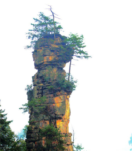 国学经典唐诗三百首【奉和思黯自题南庄见示兼呈梦得】原文及解析