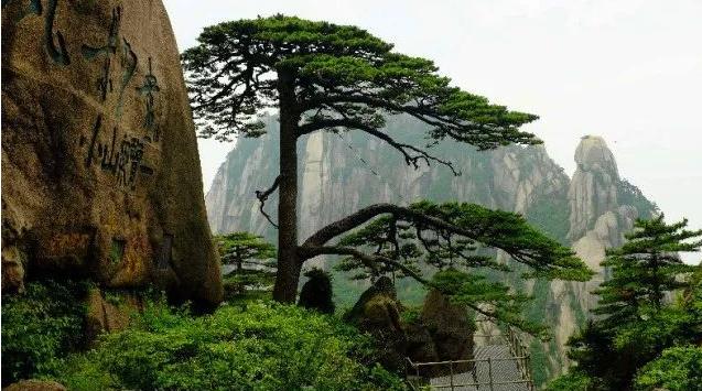 有关于成功的谚语俗语大全，建立成功事业之前，先建立成功的团队