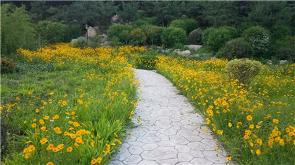 国学经典唐诗三百首【想东游五十韵】原文及解析