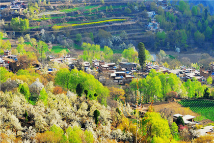 国学经典唐诗三百首【题崔常侍济上别墅】原文及解析