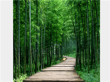 国学经典唐诗三百首【秋雨中赠元九】原文及解析