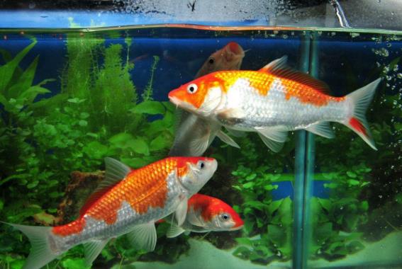 个人的好风水主要方面有哪些