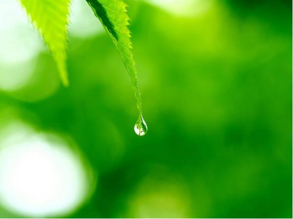 什么样的布局才能让家里的运势越来越好