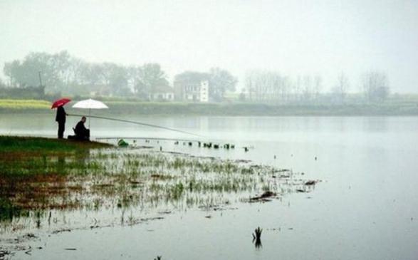 解读钓鱼谚语，钓鱼原来如此简单