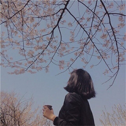 国学经典唐诗三百首【截树】原文及解析