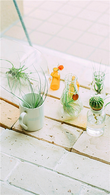 国学经典唐诗三百首【曲江醉后赠诸亲故】原文及解析