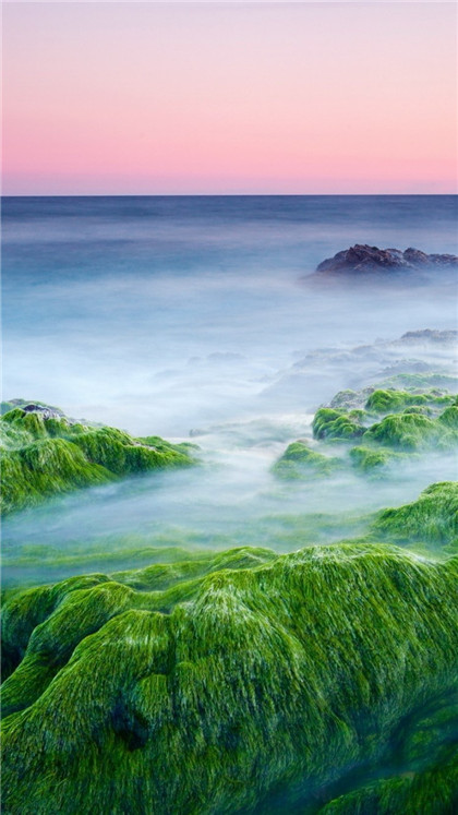 国学经典唐诗三百首【戊申岁暮咏怀三首】原文及解析