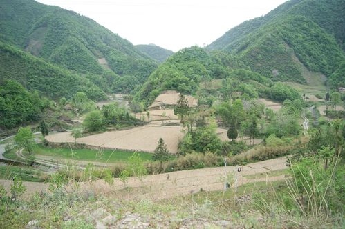 风水学中的祖坟是怎样影响后代的？