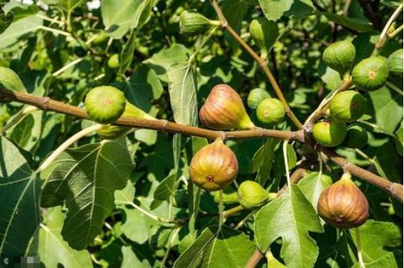 房屋外的风水有多重要