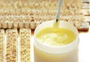 男性壮阳食疗_蜂王浆可以壮阳吗?