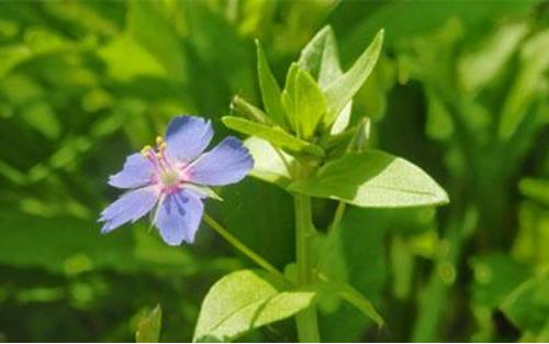 什么样的办公室风水布局最招财