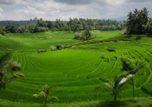 租房需要考虑风水问题吗？