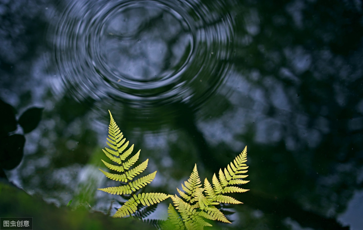 易经六十四卦泽水困(困卦)困境求通