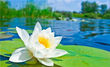 养生食谱：五谷养生粥配方大全