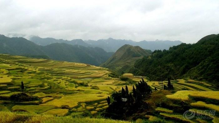 夏季宝宝不吃饭怎样提高宝宝食欲