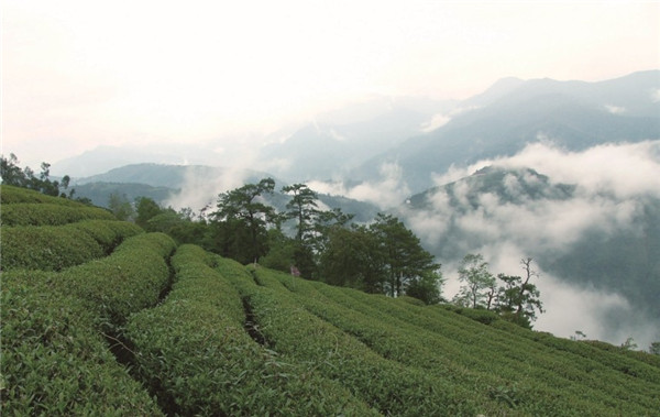 孩子有负面情绪，家长该怎么做？