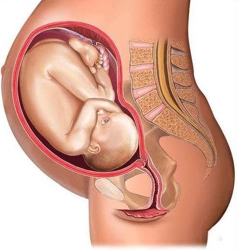 在家居风水中有孕妇要注意哪些问题？