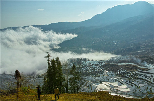 老人尿失禁吃什么中药有效？