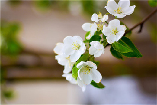 糖尿病导致的身体疼痛怎么治