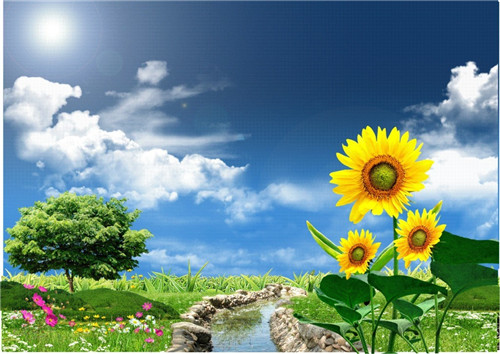 糖尿病患者最佳选择南瓜食疗