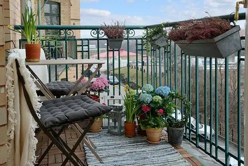 阳台放什么植物最旺财？