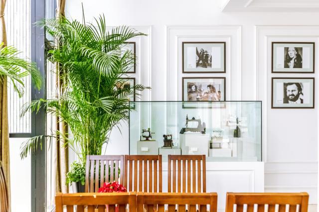 发财树摆什么位置影响家庭财运