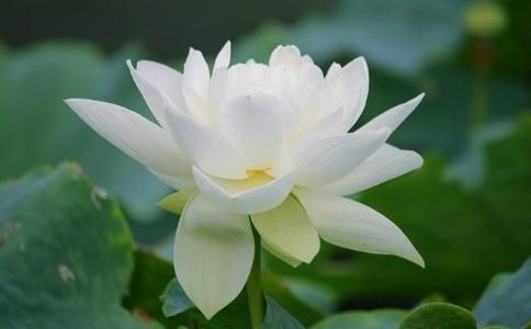 易经六十四卦之地山谦（谦卦）