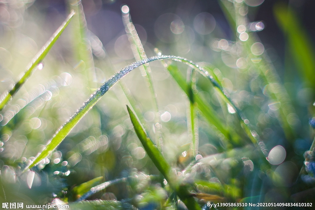 六爻如何论墓库? 六爻如何论墓库?