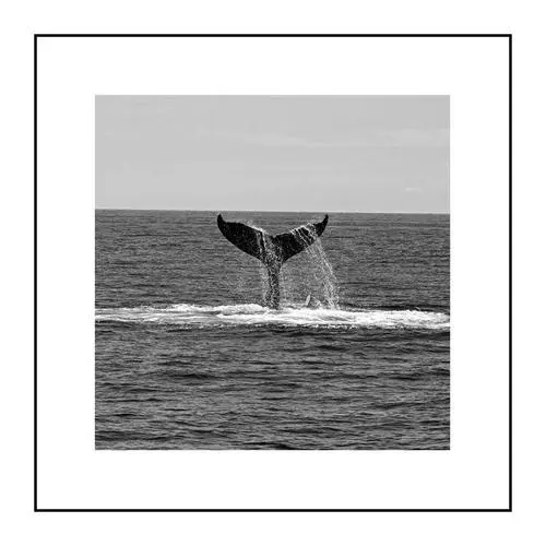 办公室挂画风有什么讲究？