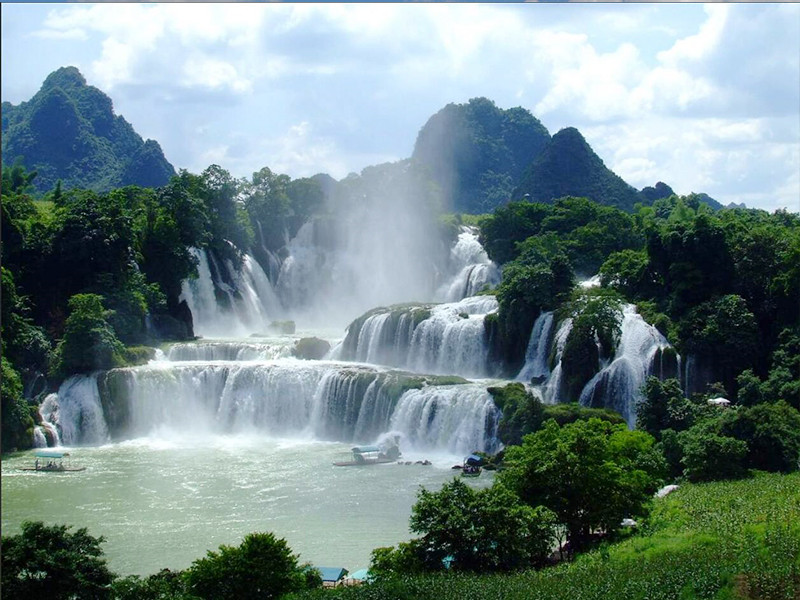 牛蒡的中医食疗功效与作用大全