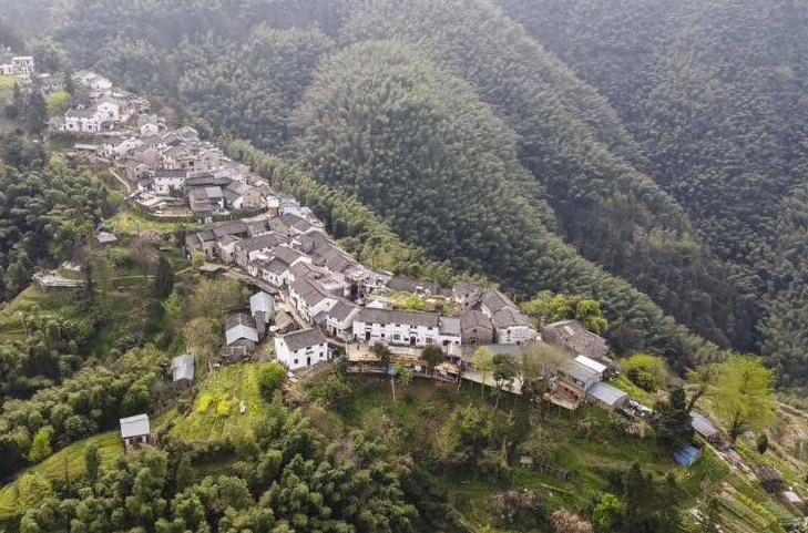 中药葛根能使人远离骨质疏松症