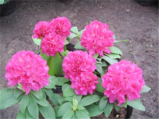 夏季护理宝宝的六个大忌