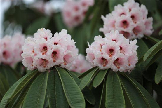 女性怎样保护自己的生育天赋