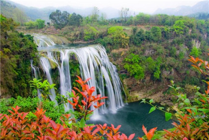 高血压者常吃素烩三菇可降压