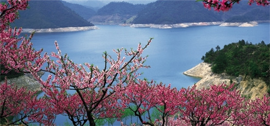 国学经典唐诗三百首【淮上喜会梁川故友】原文及解析